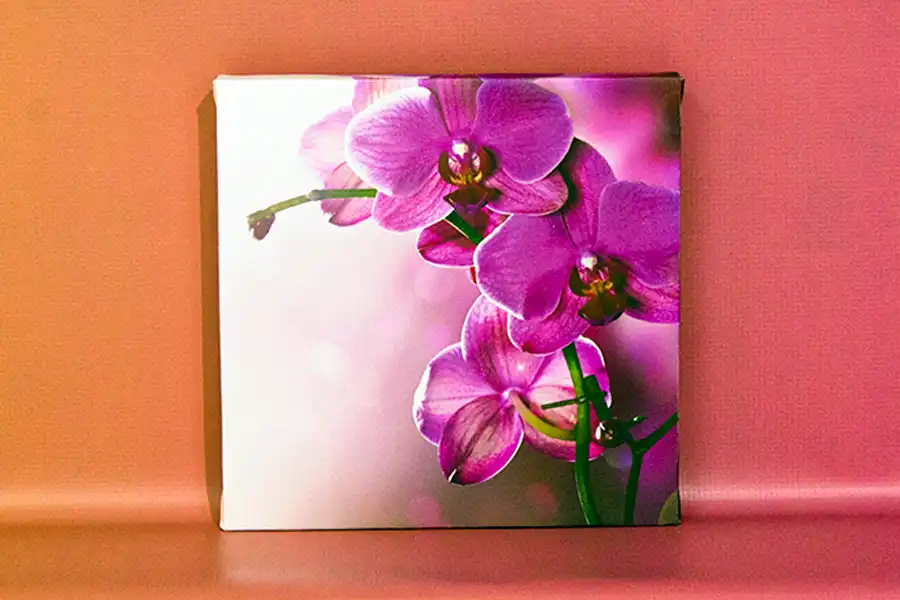 Арт на холсте 20х20 см.