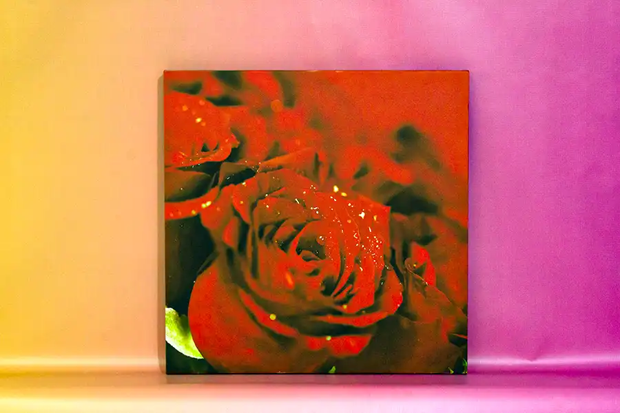 Картина на холсте 20 на 20 см купить в Минске