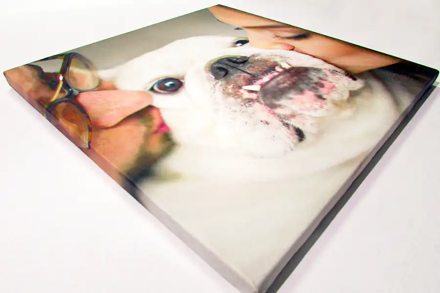 Картина на холсте 30 на 30 см купить в Минске