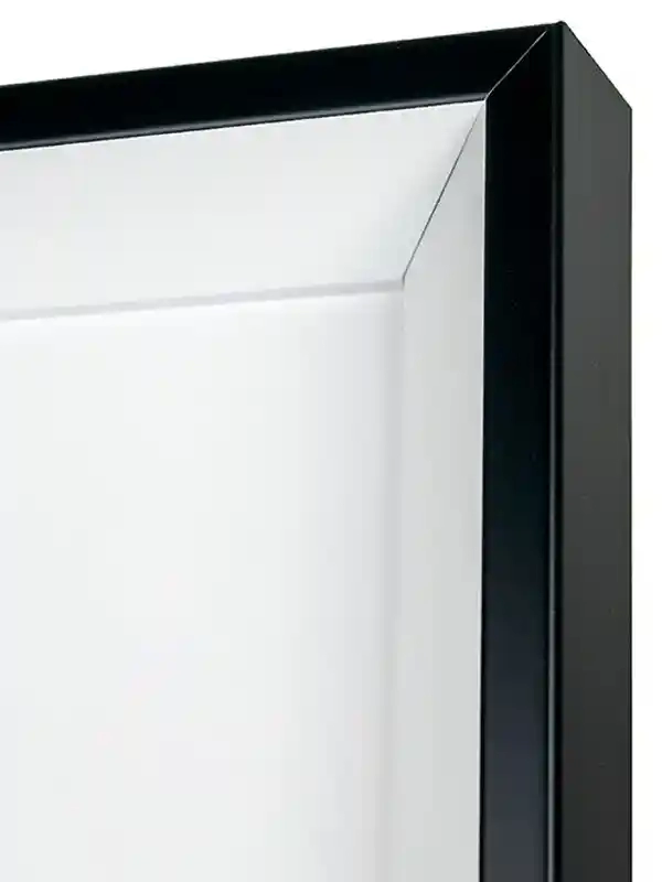 Вариант 3. Черно-белая